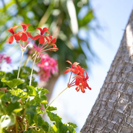 La Lantana Villa มารีนาดีรากูซา ภายนอก รูปภาพ